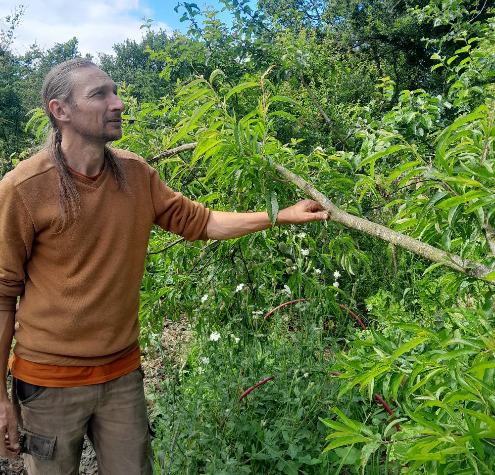 Grégory Roche dans son jardin-forêt conçu avec la permaculture en Bretagne